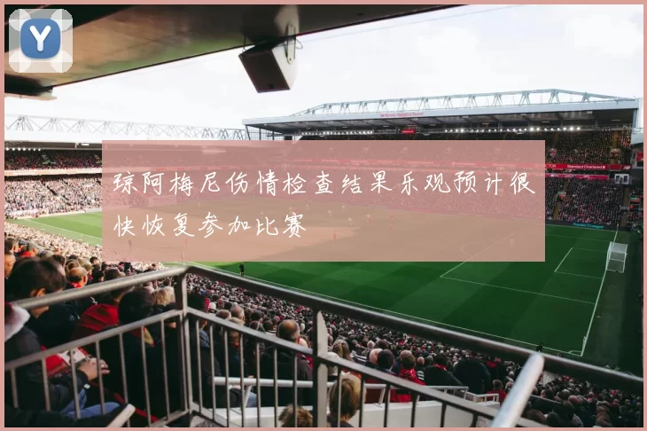 琼阿梅尼伤情检查结果乐观预计很快恢复参加比赛
